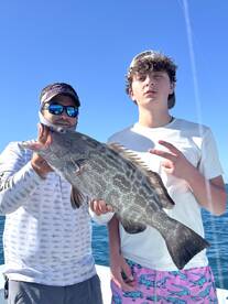 Big Black Grouper! 