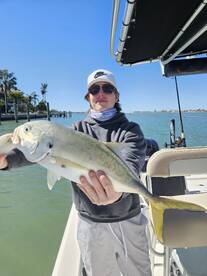 Sarasota Report Photo 2