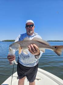 Sarasota Report Photo 1