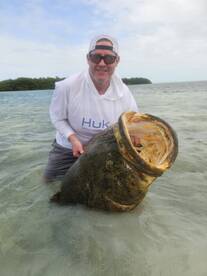 Trophy Goliath grouper 