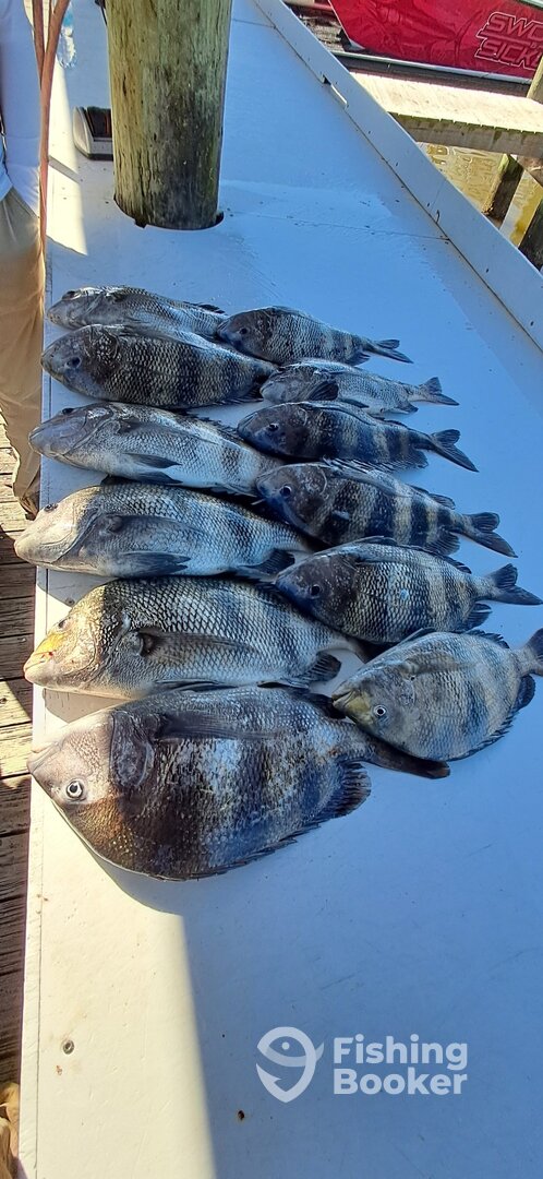 Gulf Shores Report Photo 0