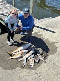 Gulfport Report Photo 2
