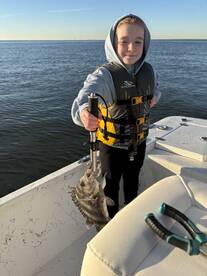 Gulfport Report Photo 1