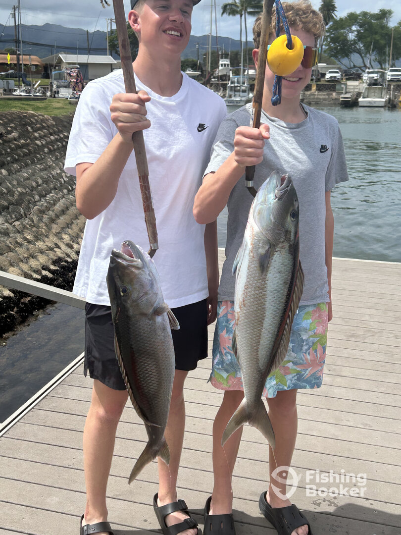 Haleiwa Report Photo 0