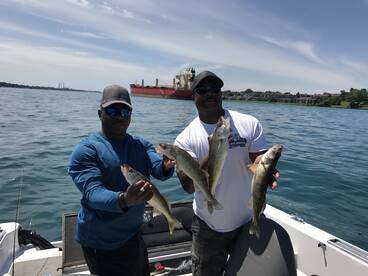 Walleye