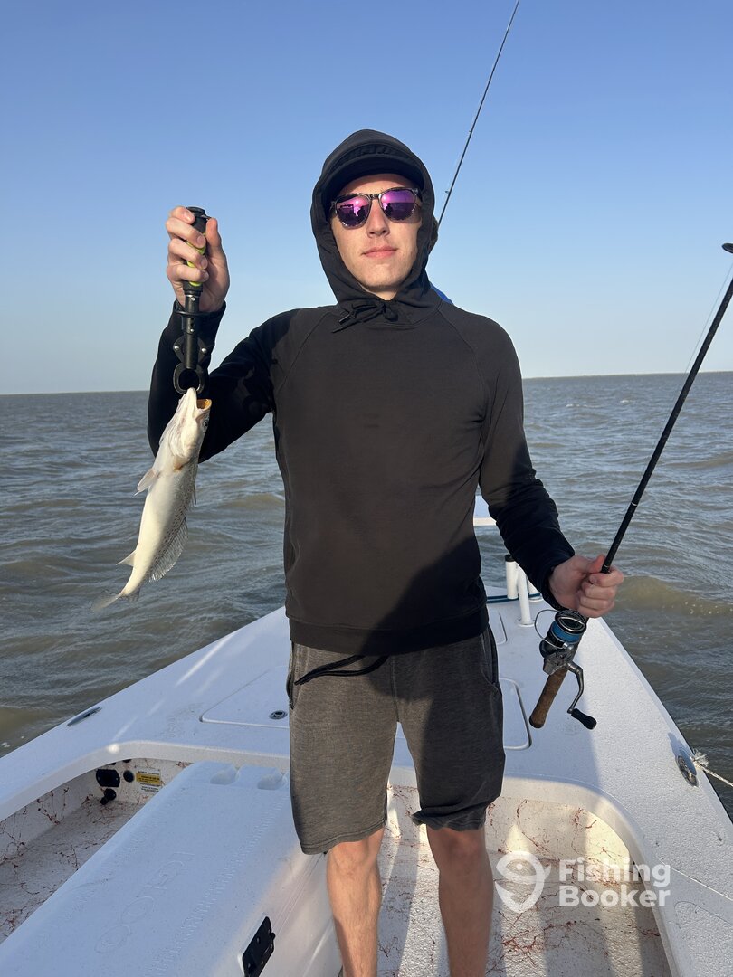 Port Isabel Report Photo 0
