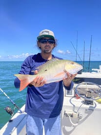 Grand Snapper Slam!!!!