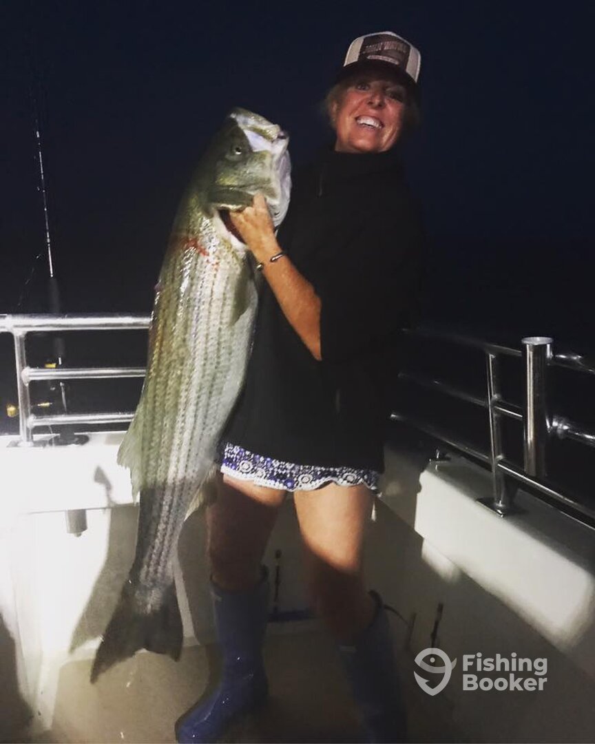 Montauk Report Photo 0