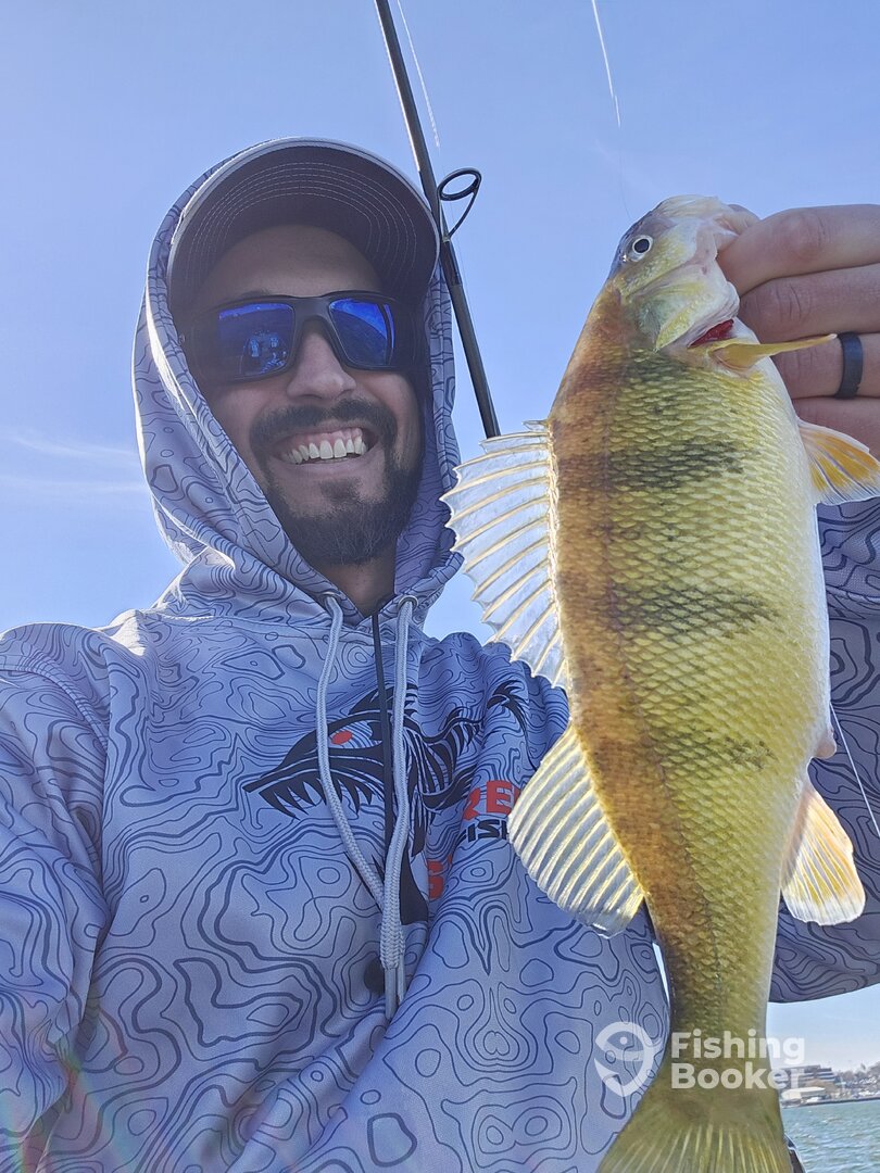 Presque Isle Bay March Perch Fishing