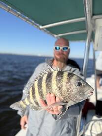 Huge drum and sheepsheads