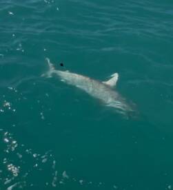 Key West Report Photo 1