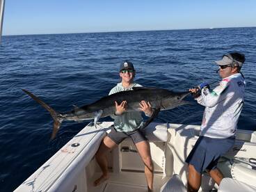 Cabo San Lucas Report Photo 1