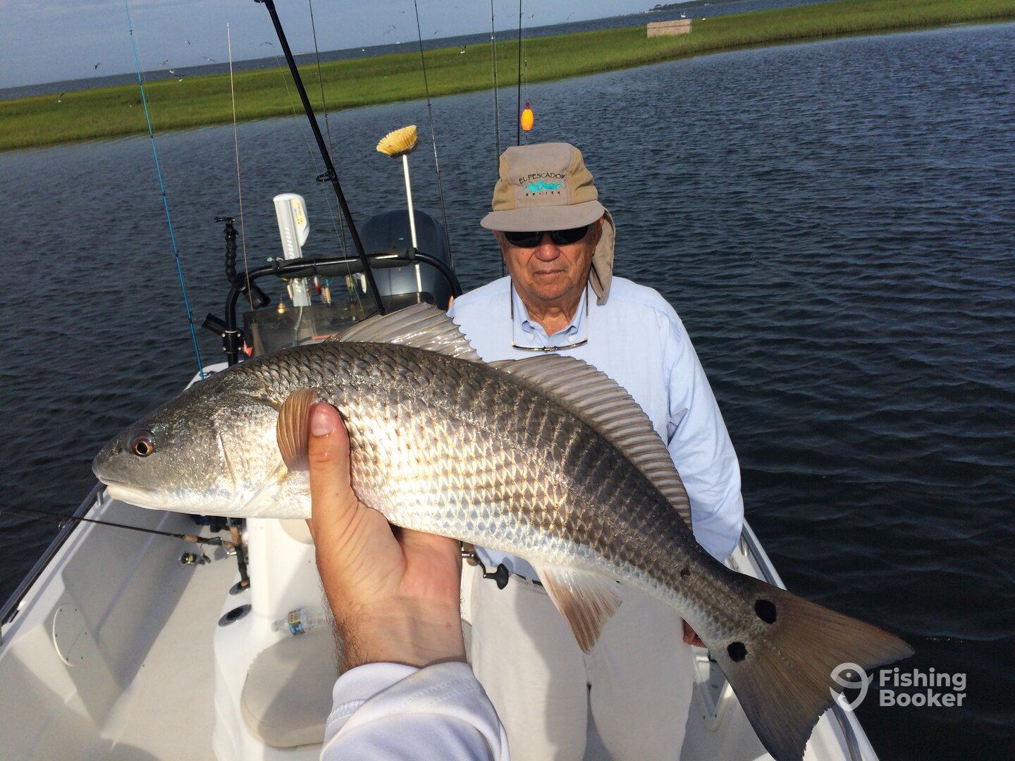 Beaufort Report Photo 0