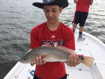 Beaufort Report Photo 2