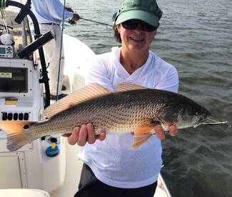 Beaufort Report Photo 1
