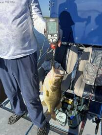 Belle Glade Report Photo 1