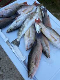 Big Pine Key Report Photo 1
