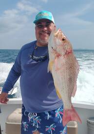 Lane Snapper Pearl Islands