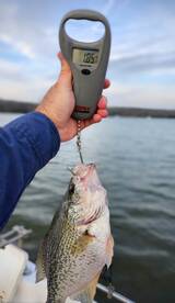 Clover Report Photo 2