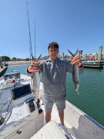 Snook
