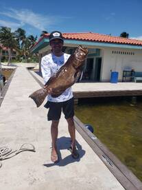 San Pedro Report Photo 2
