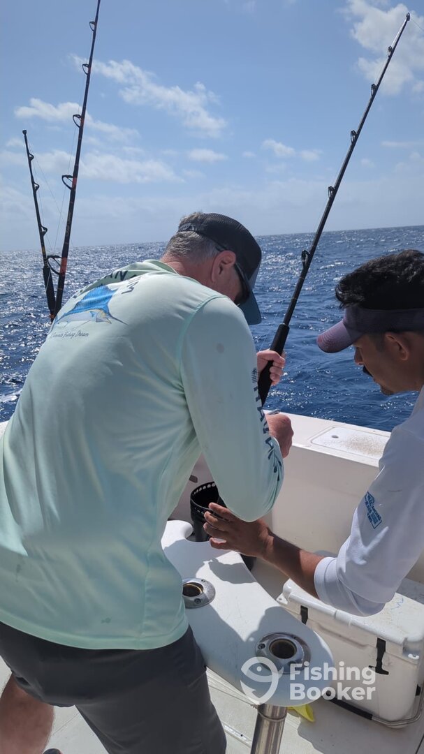 Puerto Aventuras Report Photo 0