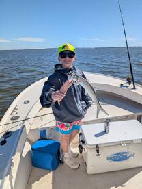 Fort Myers Report Photo 2