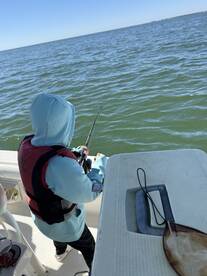 Dauphin Island Report Photo 2