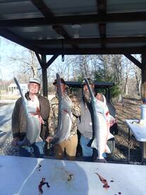 Stover Report Photo 1