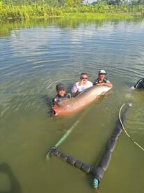 Backwater trophy trips coming soon. 