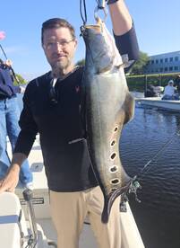 Delray Beach Report Photo 2