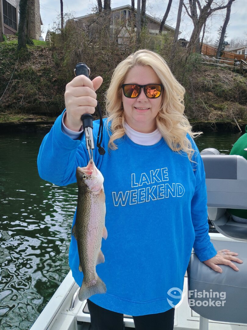 Branson Report Photo 0