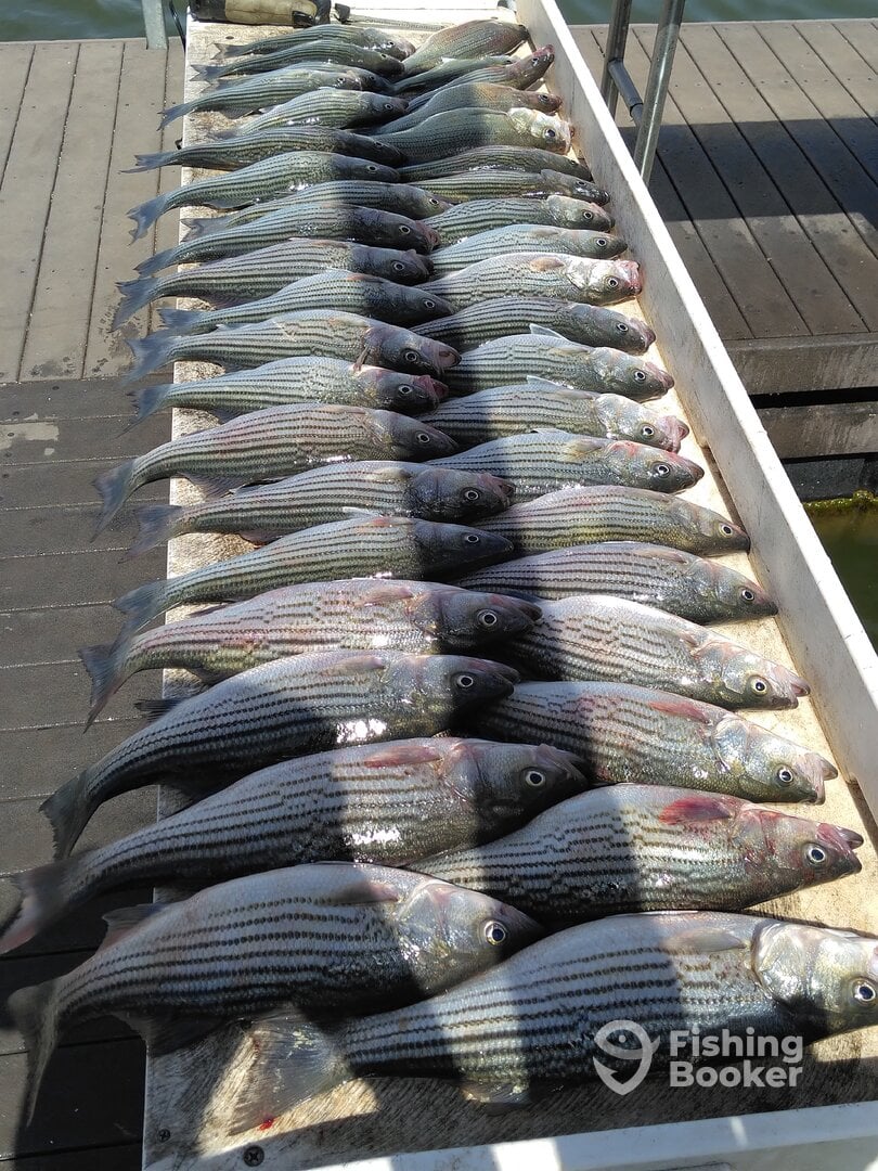 Sand Point Report Photo 0