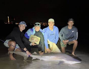 Navarre Report Photo 1