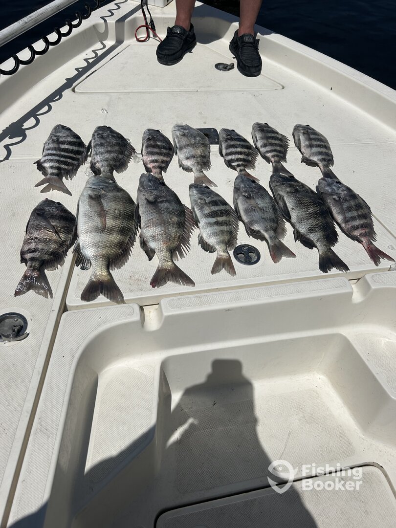 Cape Coral Report Photo 0