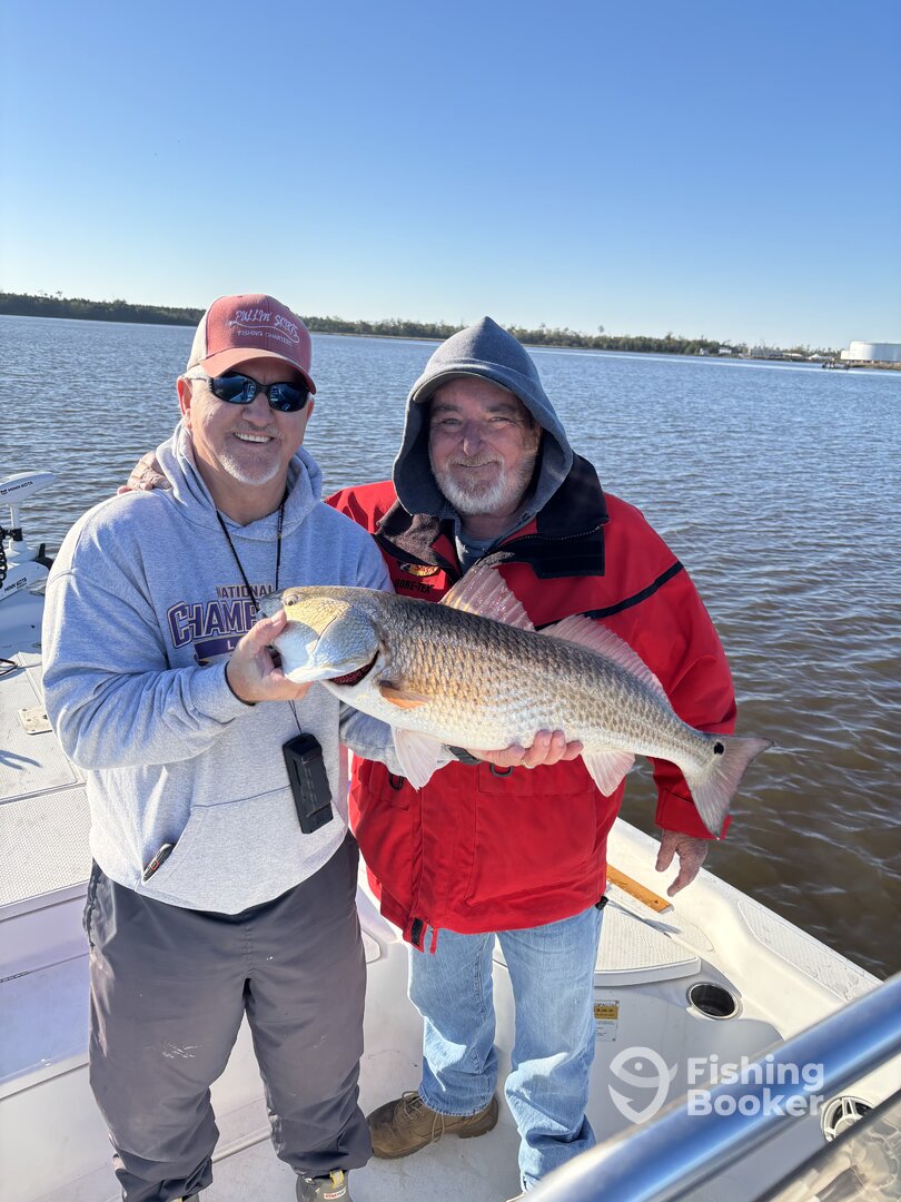 Hackberry Report Photo 0