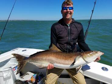 Big May Cobia!!