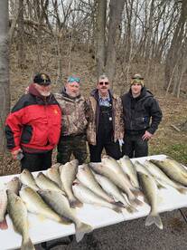 Awsome walleye action!!