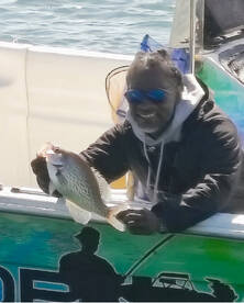 Lake Lanier Crappies