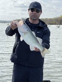 Dallas Report Photo 2