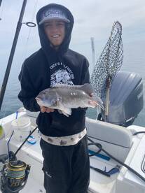 Morehead City Report Photo 1