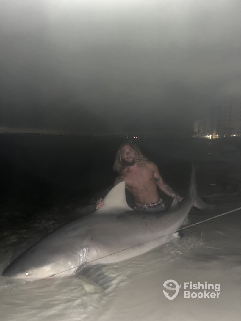 Destin Report Photo 0