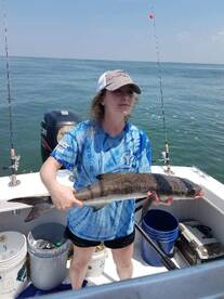 Sharks, spades and Cobia 