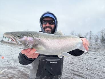 Steelhead are In!