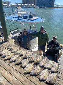 Sheephead are still chewing!!!