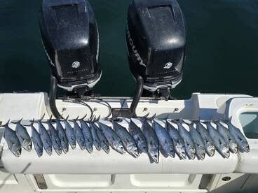 Red Hot Spring Offshore Fishing, Doubled