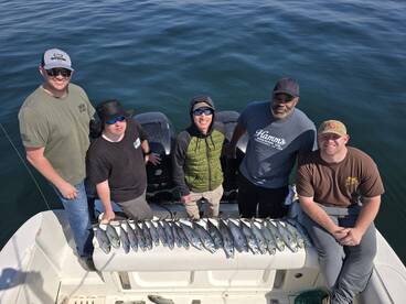 St. Simons Island Report Photo 2