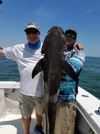 Virginia Beach Report Photo 2