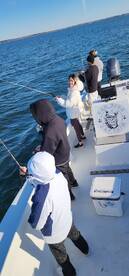 Pasadena Report Photo 2