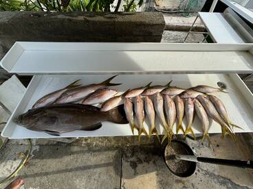 Key West Report Photo 1